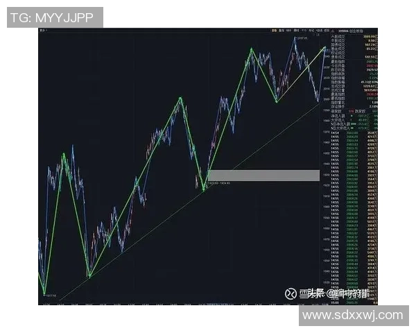 广州羽毛球队与杭州羽毛球队赛后复盘分析比赛节奏与战术对比