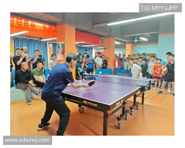 重庆乒乓球队的崛起与发展探索乒乓球运动的力量与魅力