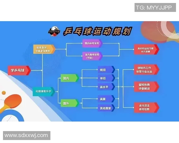 乒乓球的魅力：深入了解上海乒乓球队的默契配合与战术策略
