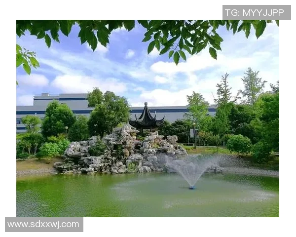 杭州排球队的崛起之路:从默默无闻到世锦赛的荣耀之旅 杭州排球队的崛起之路:从默默无闻到世锦赛的荣耀之旅