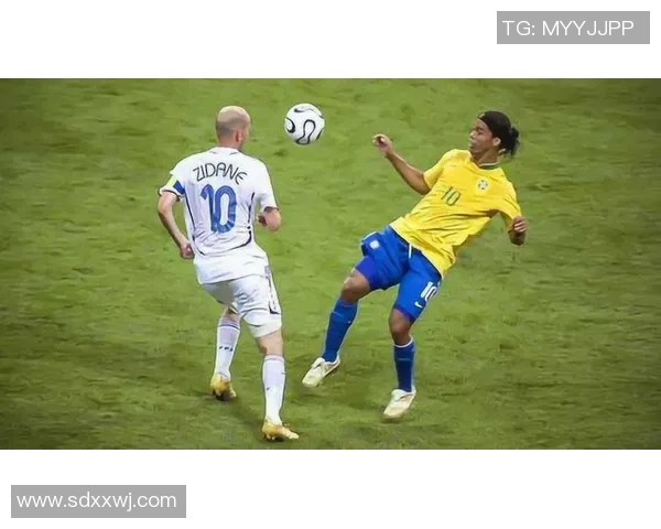 深圳乒乓球队的节奏与风采探秘：从训练到比赛的全景观察