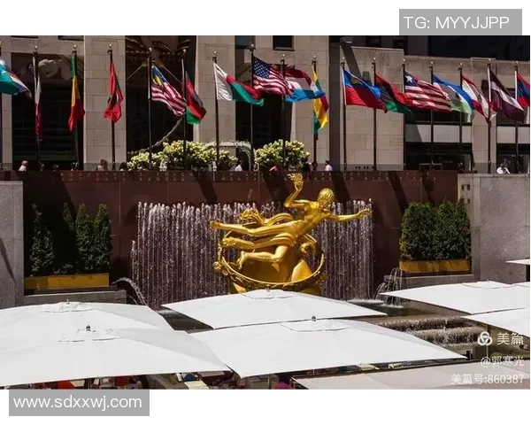 纽约足球明星阵容全景展示精彩瞬间与荣耀时刻