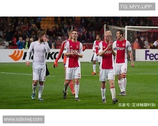 足球明星档次划分标准解析及其对职业生涯的影响探讨