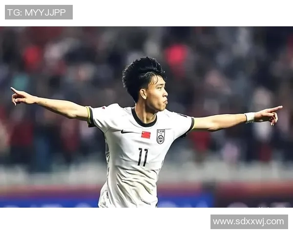 足球界新星闪耀登场最新足球明星大合集全景展示