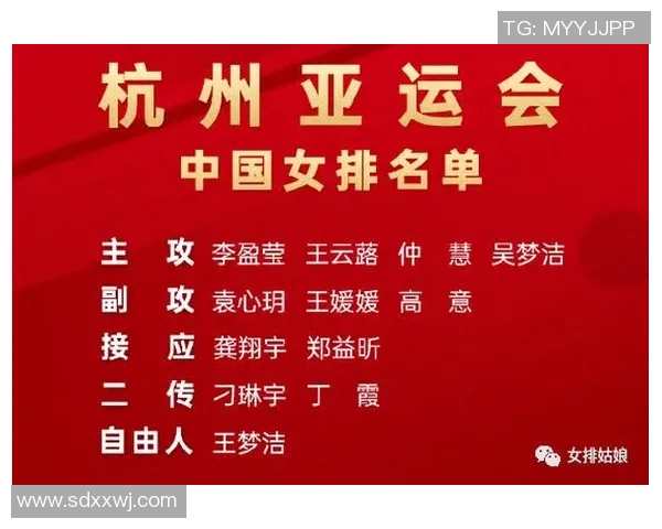 杭州排球队配合策略深度解析与对比研究 杭州排球队配合策略深度解析与对比研究