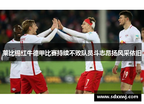 莱比锡红牛德甲比赛持续不败队员斗志昂扬风采依旧