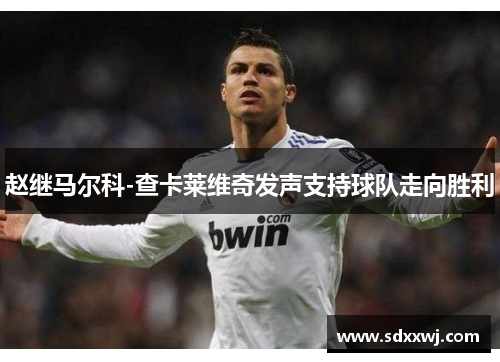 赵继马尔科-查卡莱维奇发声支持球队走向胜利