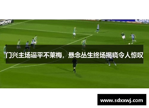 门兴主场逼平不莱梅，悬念丛生终场揭晓令人惊叹