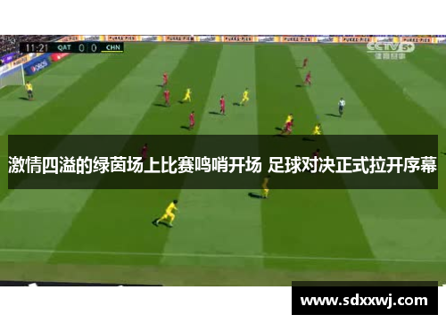 激情四溢的绿茵场上比赛鸣哨开场 足球对决正式拉开序幕