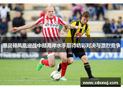 惠灵顿凤凰迎战中部海岸水手期待精彩对决与激烈竞争
