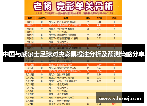 中国与威尔士足球对决彩票投注分析及预测策略分享