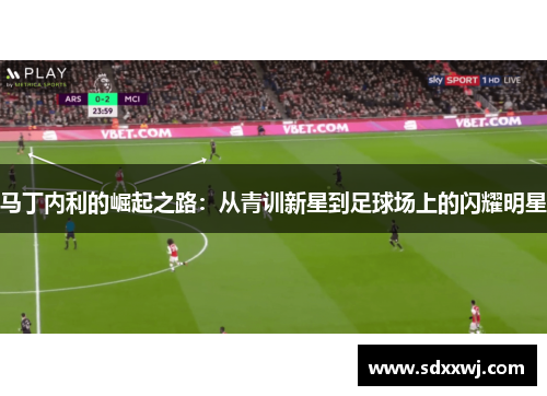 马丁内利的崛起之路：从青训新星到足球场上的闪耀明星