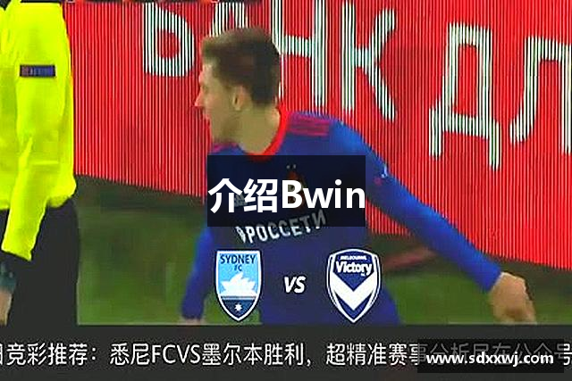 介绍Bwin